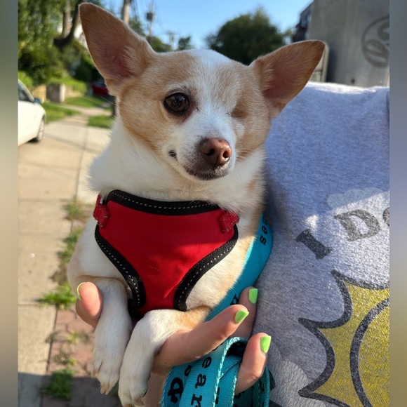 Meet your Posher, Caitie - Picture 2 of 2